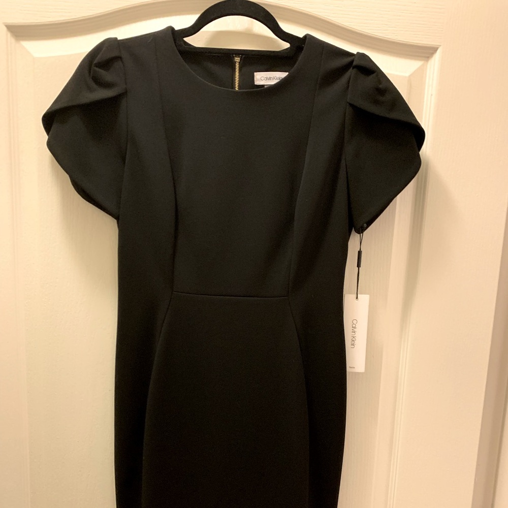 Calvin Klein Professional Black Dress
